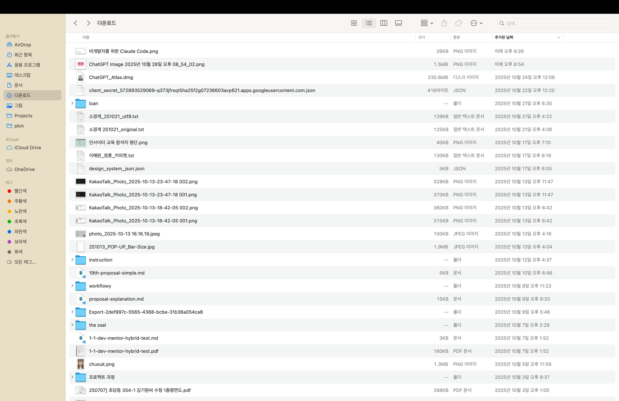 Downloads 폴더 정리 전